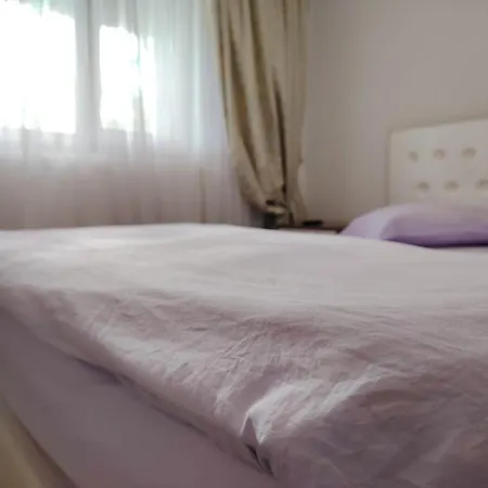 Guest house Casa Graur *